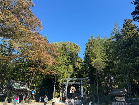 Understanding the Importance of Japanese Culture in Business: A Look at Suwa Taisha Shrine